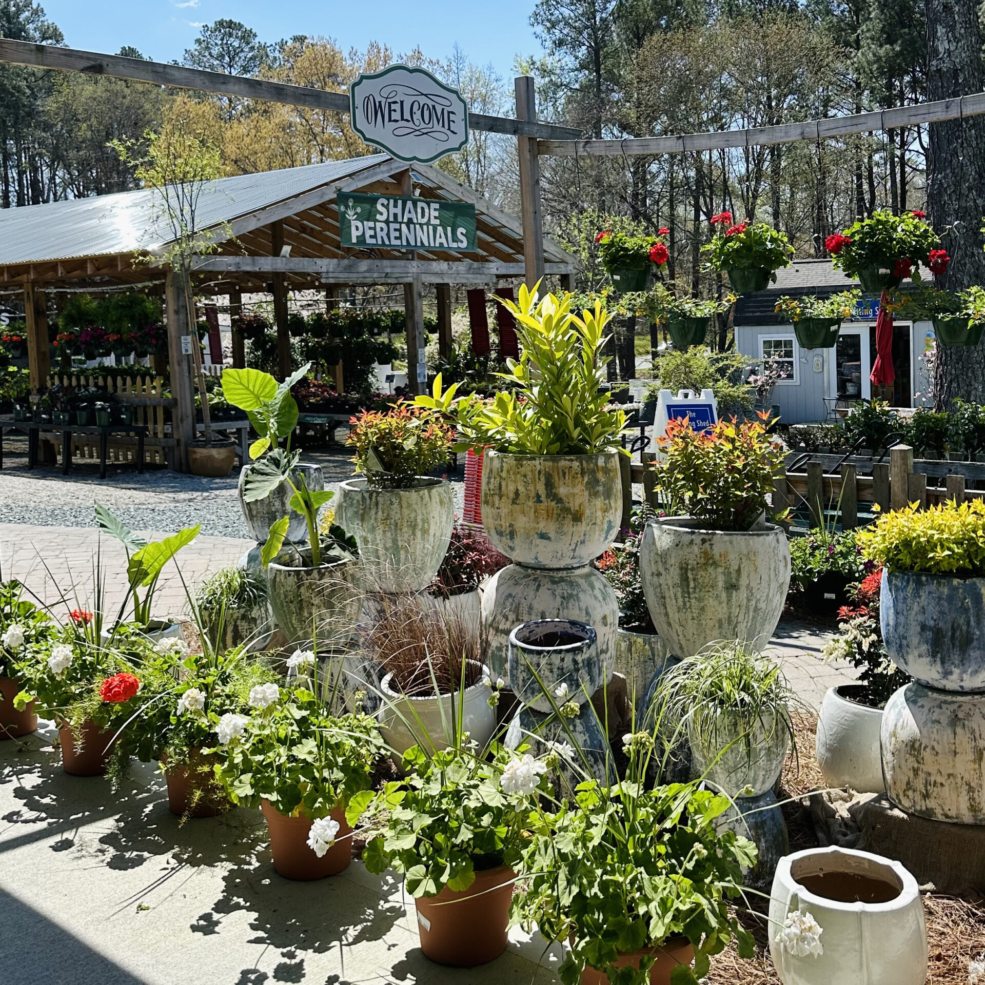 A garden center featuring various potted plants and flowers, with a shaded area labeled 