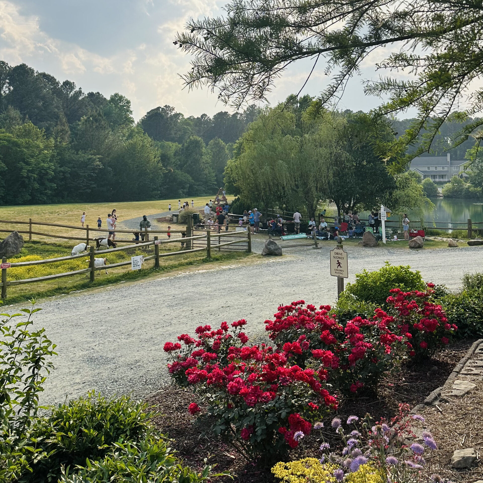 A serene park scene with people gathered near a pond, surrounded by lush greenery and vibrant flowers under a cloudy sky.