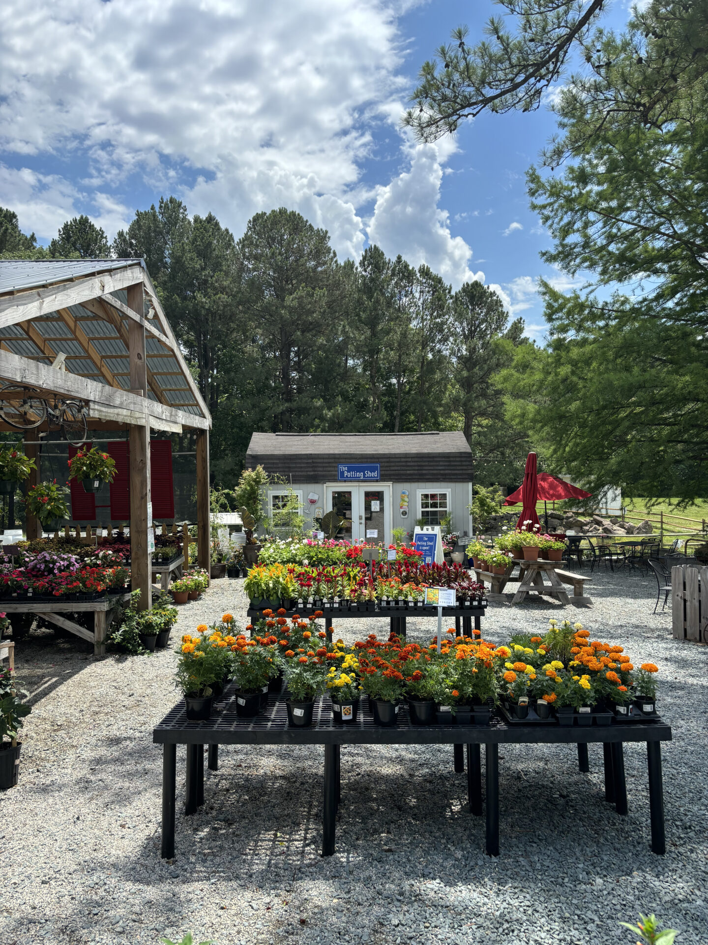 A quaint garden center with vibrant flowers on tables, surrounded by tall trees. Small buildings and seating area under clear, sunny skies.