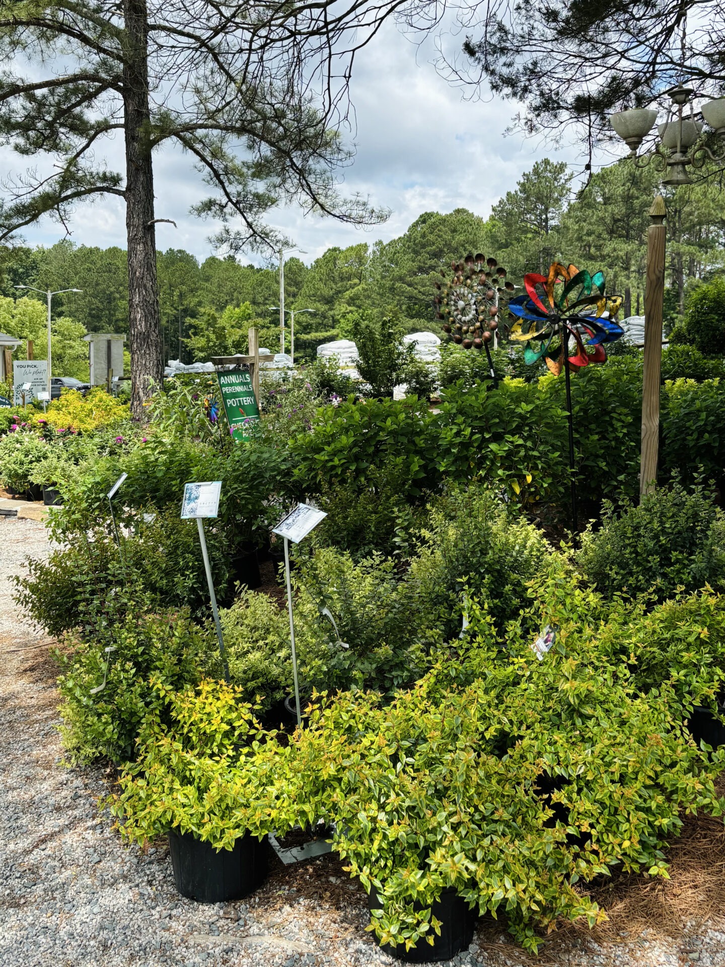 A garden nursery with various potted plants, colorful wind spinners, and trees surrounded by lush greenery on a sunny day.