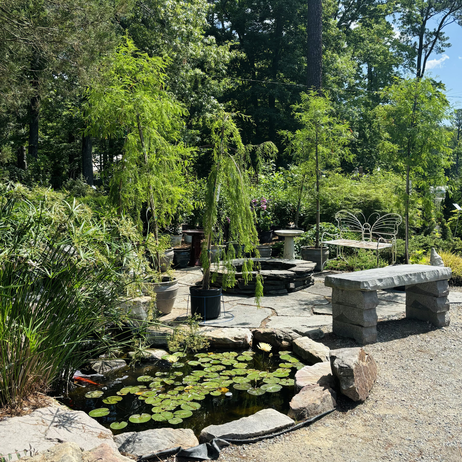 A tranquil garden with lush greenery, a small lily pond, stone benches, and a seating area, surrounded by trees under a clear sky.