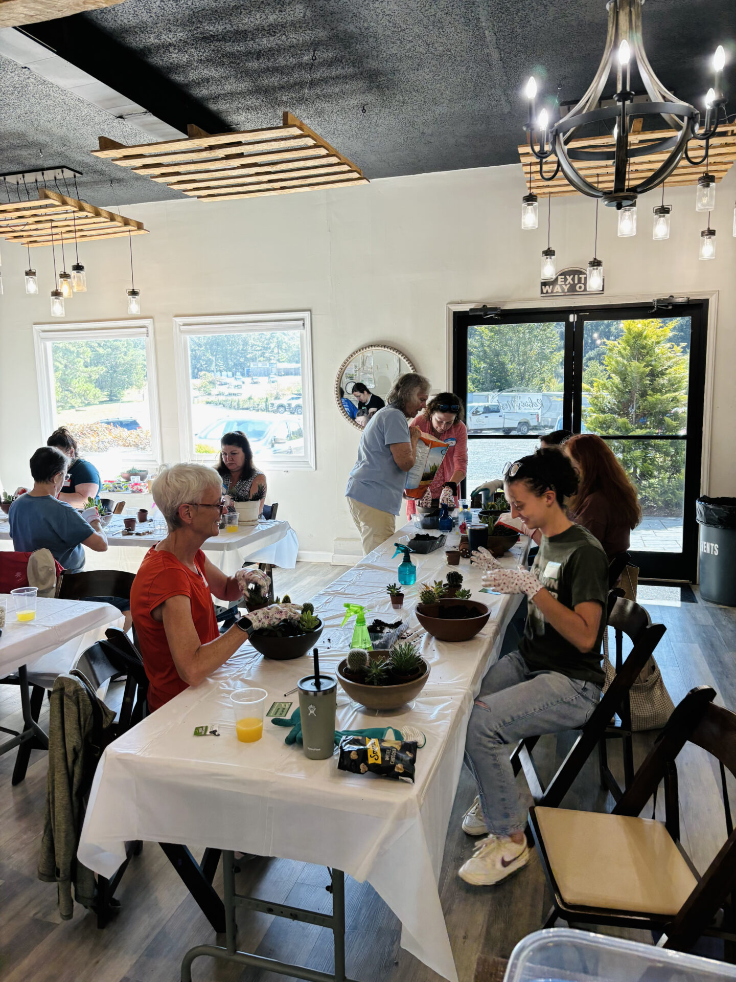 People engage in a group activity, arranging succulents on tables. The room has modern lighting, large windows, and a view of greenery outside.