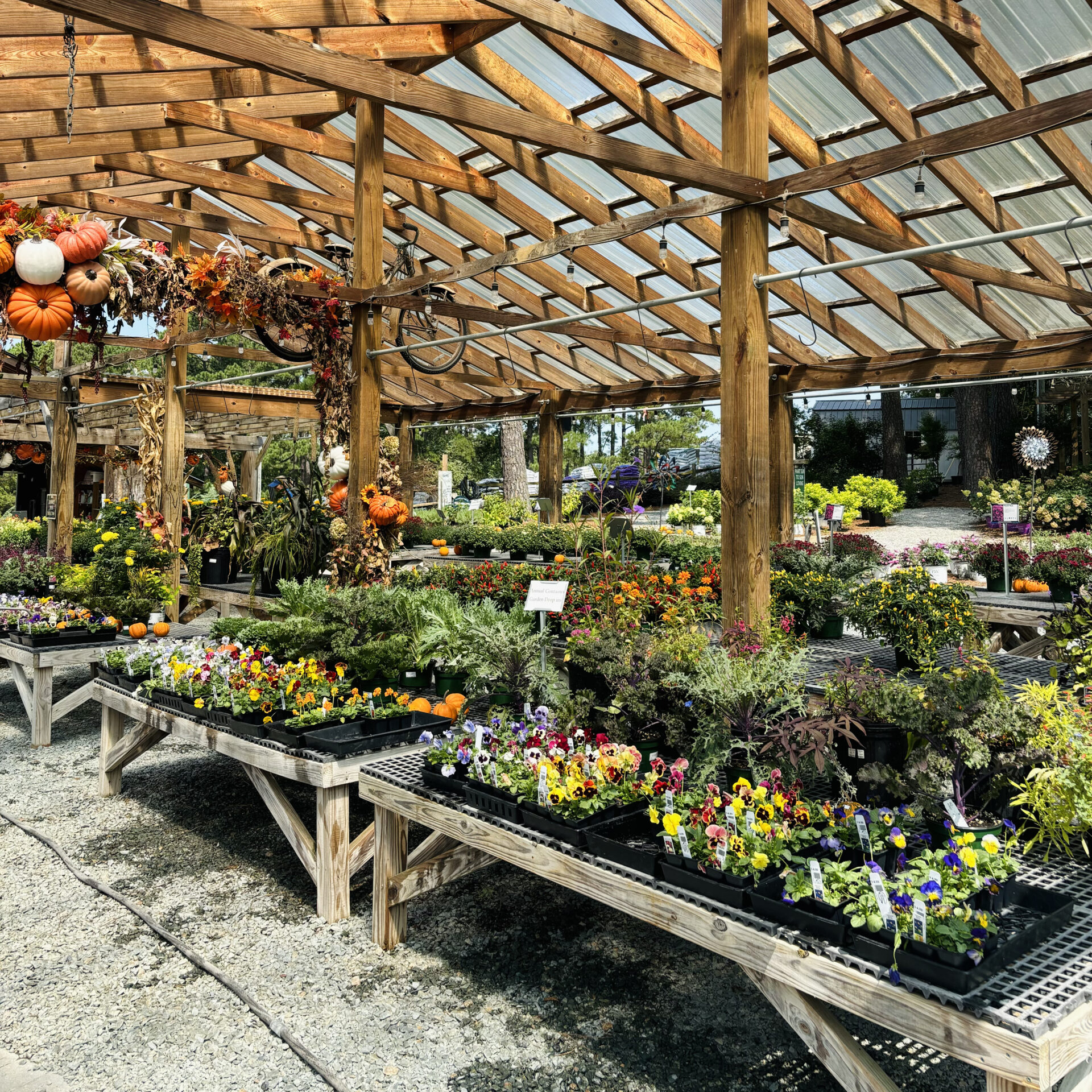 A greenhouse interior features colorful flowers on wooden tables. Pumpkins and floral decorations hang from rustic beams, creating a vibrant, inviting ambiance.