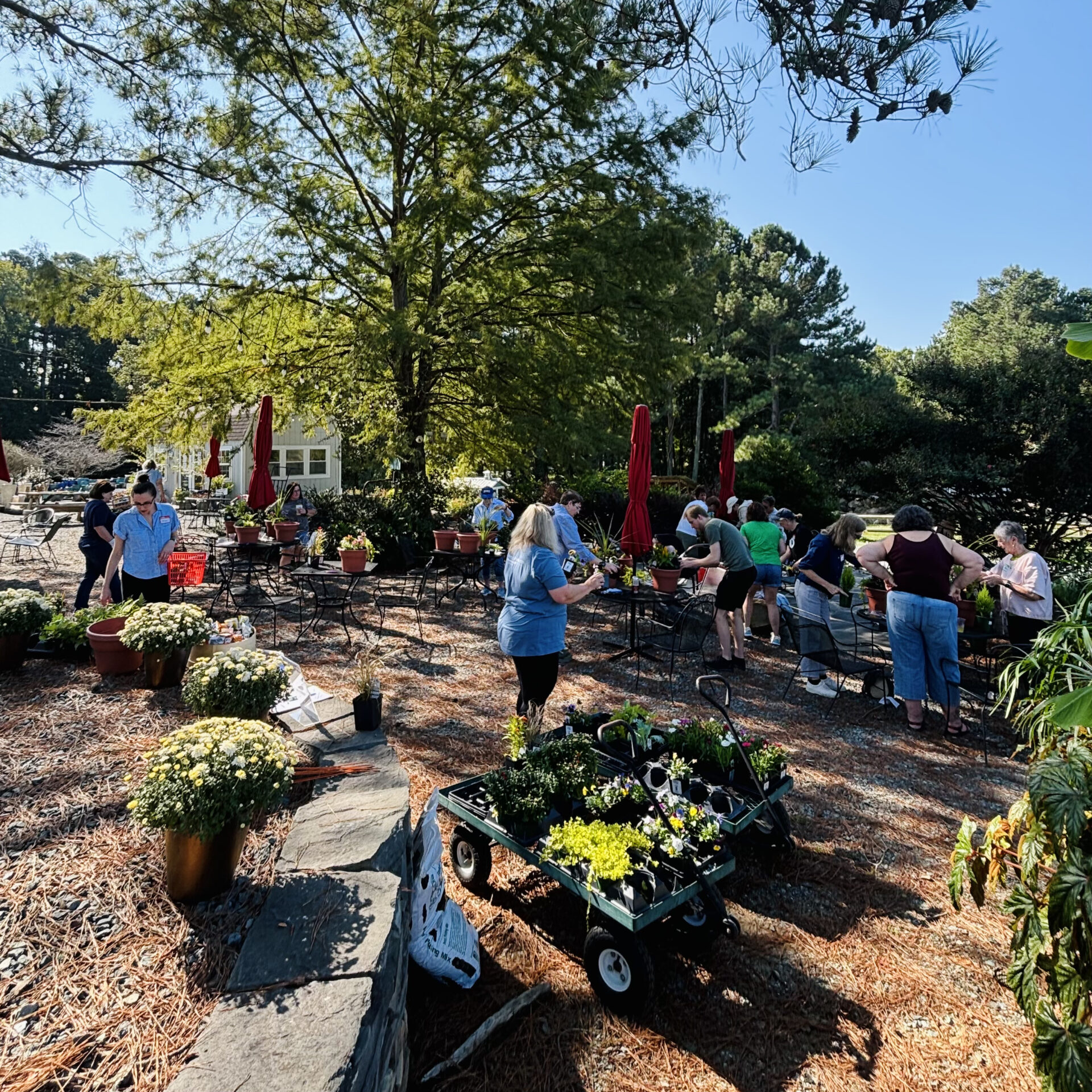 People gathered outdoors under a large tree, arranging plants and flowers in a garden or nursery setting, with carts and tables nearby.