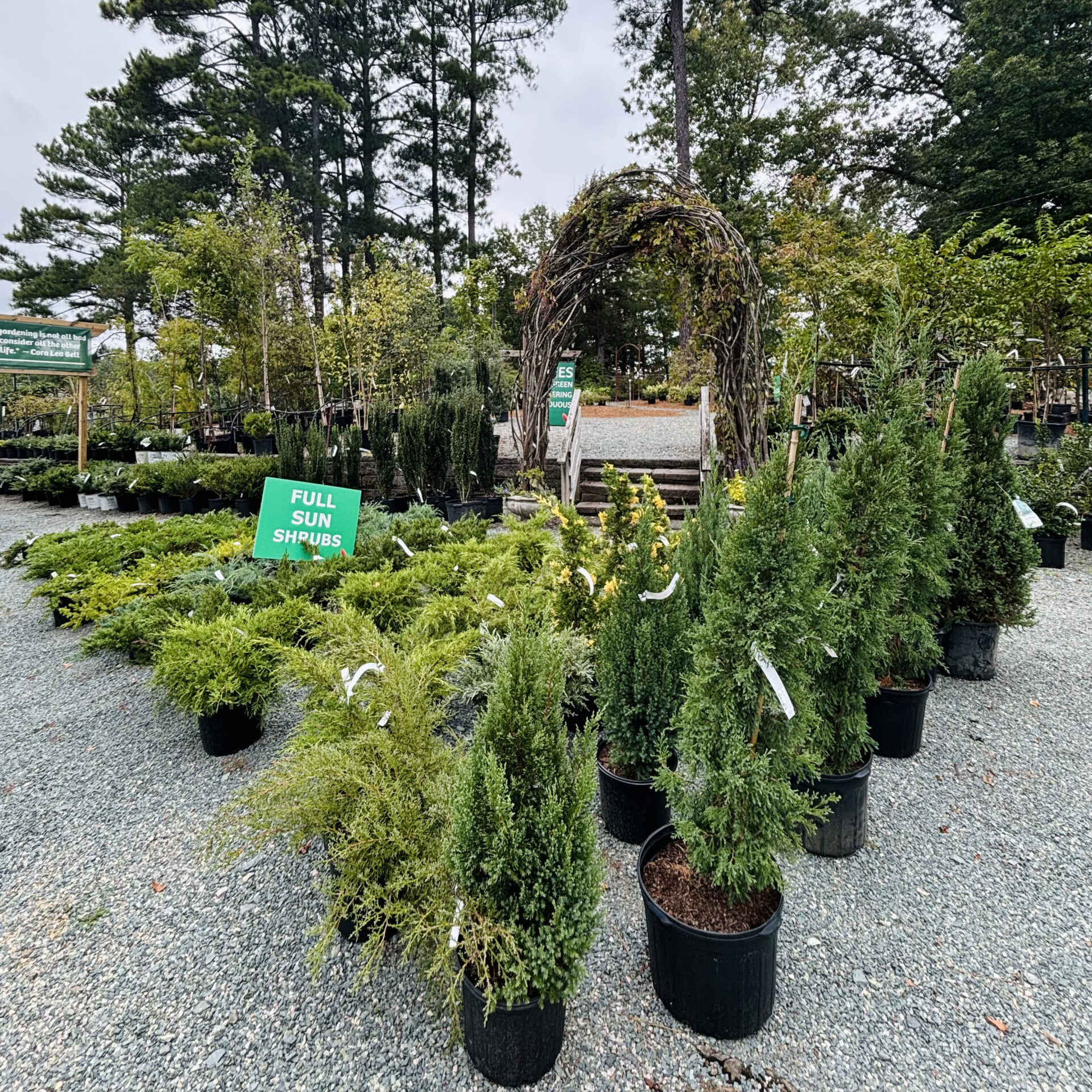 A garden center with various shrubs and trees displayed on gravel, surrounded by greenery. An archway in the background leads further.