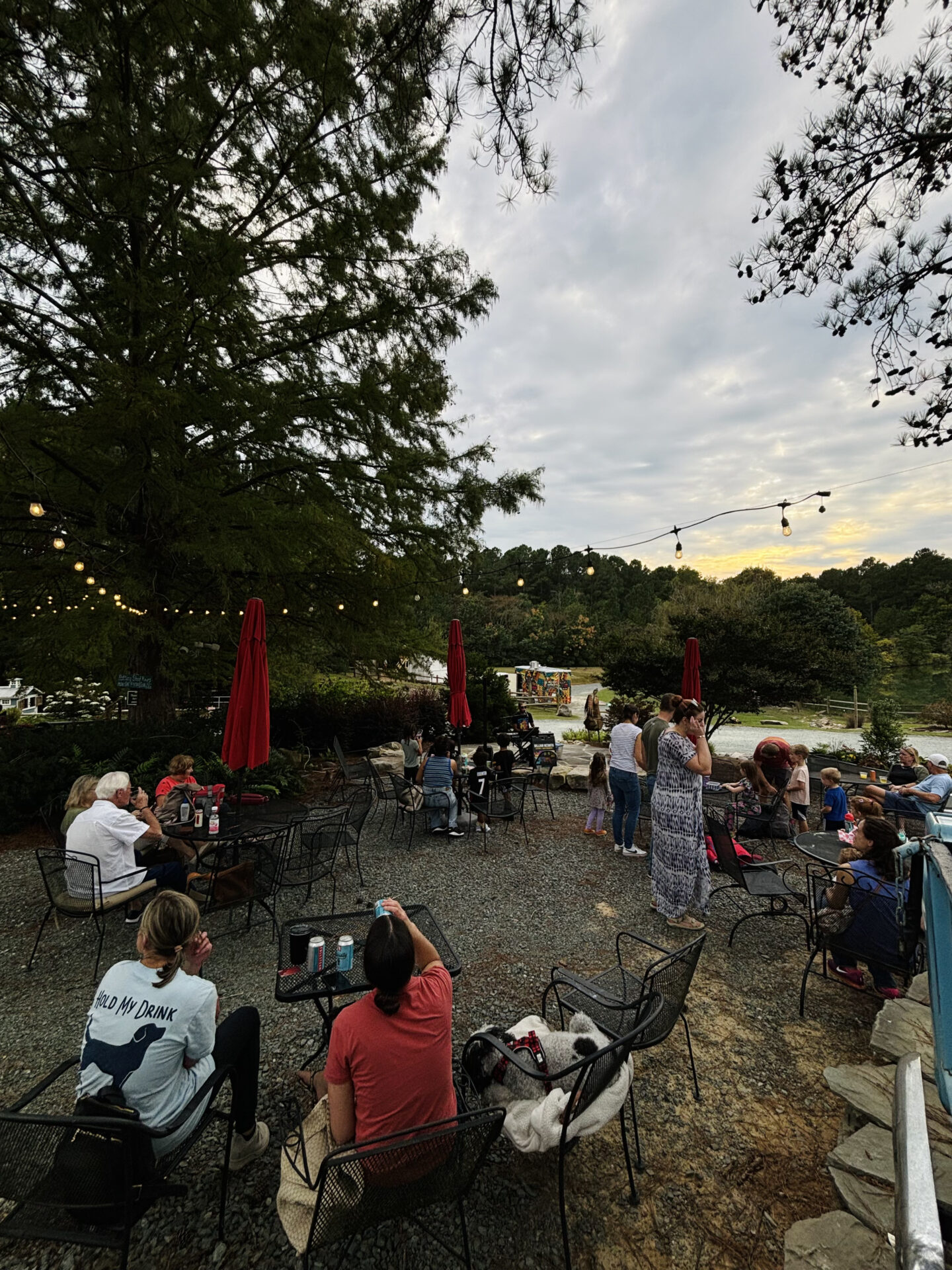 People enjoy an outdoor seating area surrounded by trees and string lights. Umbrellas provide shade, creating a relaxed and scenic atmosphere.