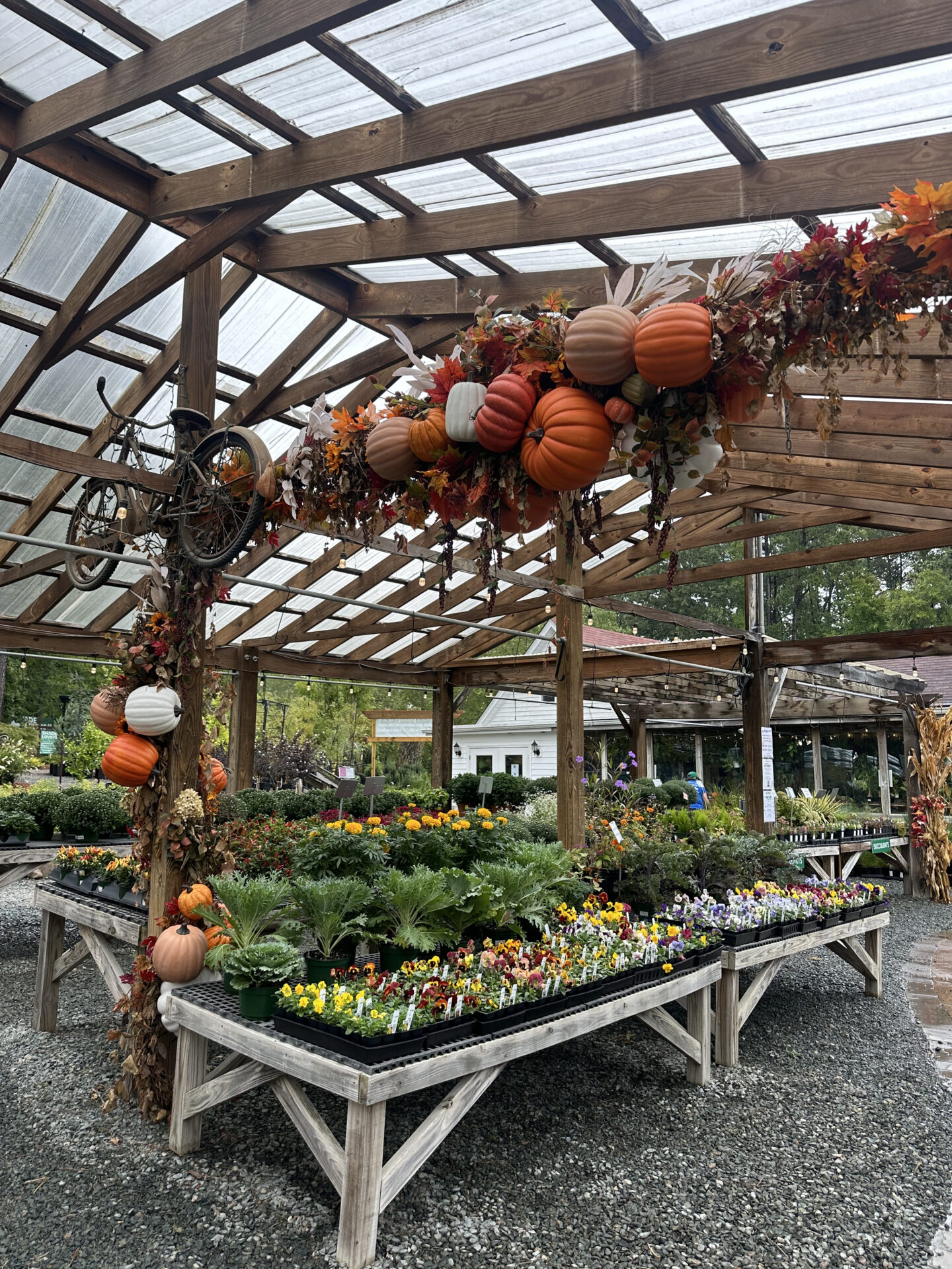 A wooden nursery structure adorned with pumpkins and autumn leaves, displays colorful plants beneath a clear roof, amid a forested backdrop.