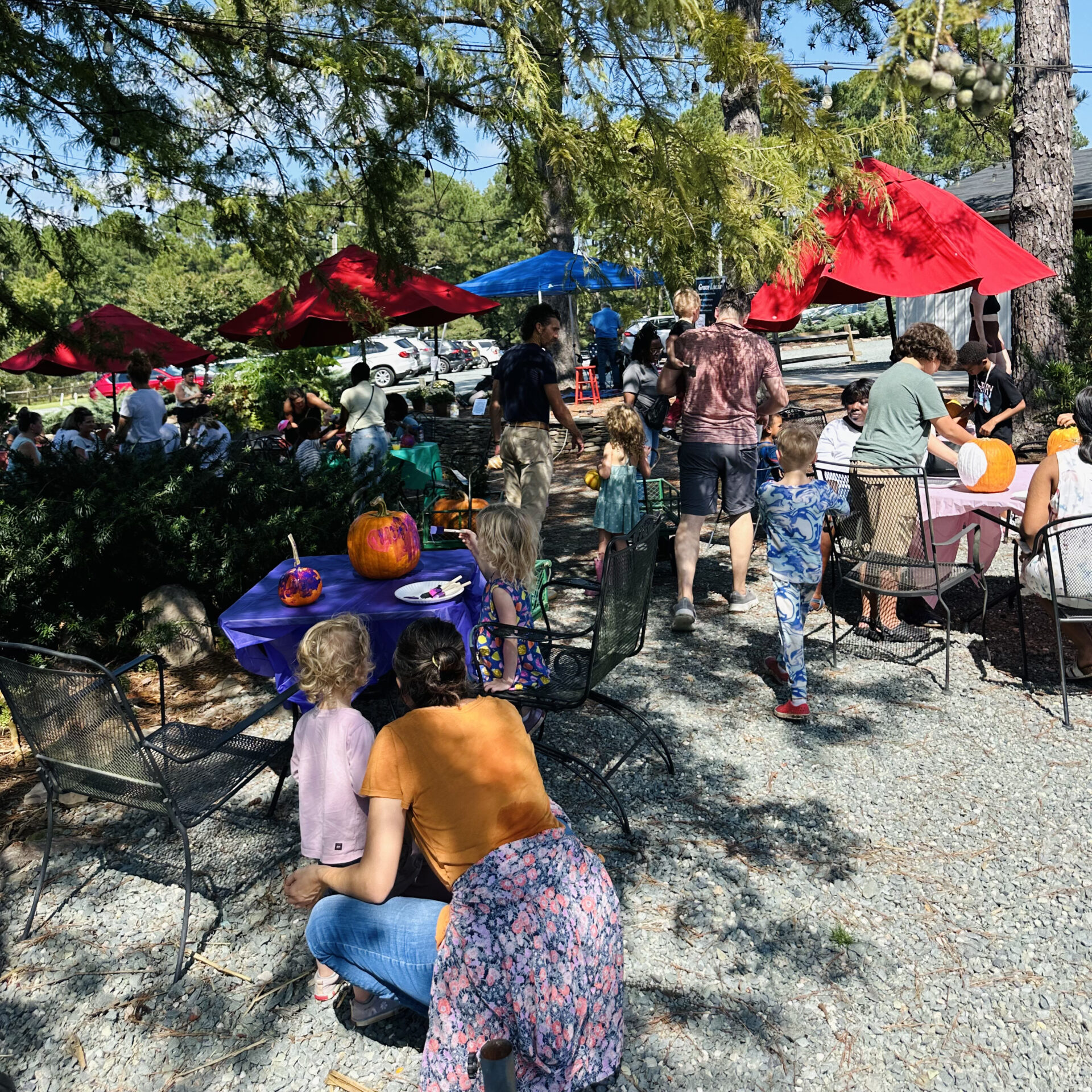 People and children enjoying a sunny day outdoors, sitting at tables with pumpkins and colorful umbrellas, surrounded by trees and gravel ground.