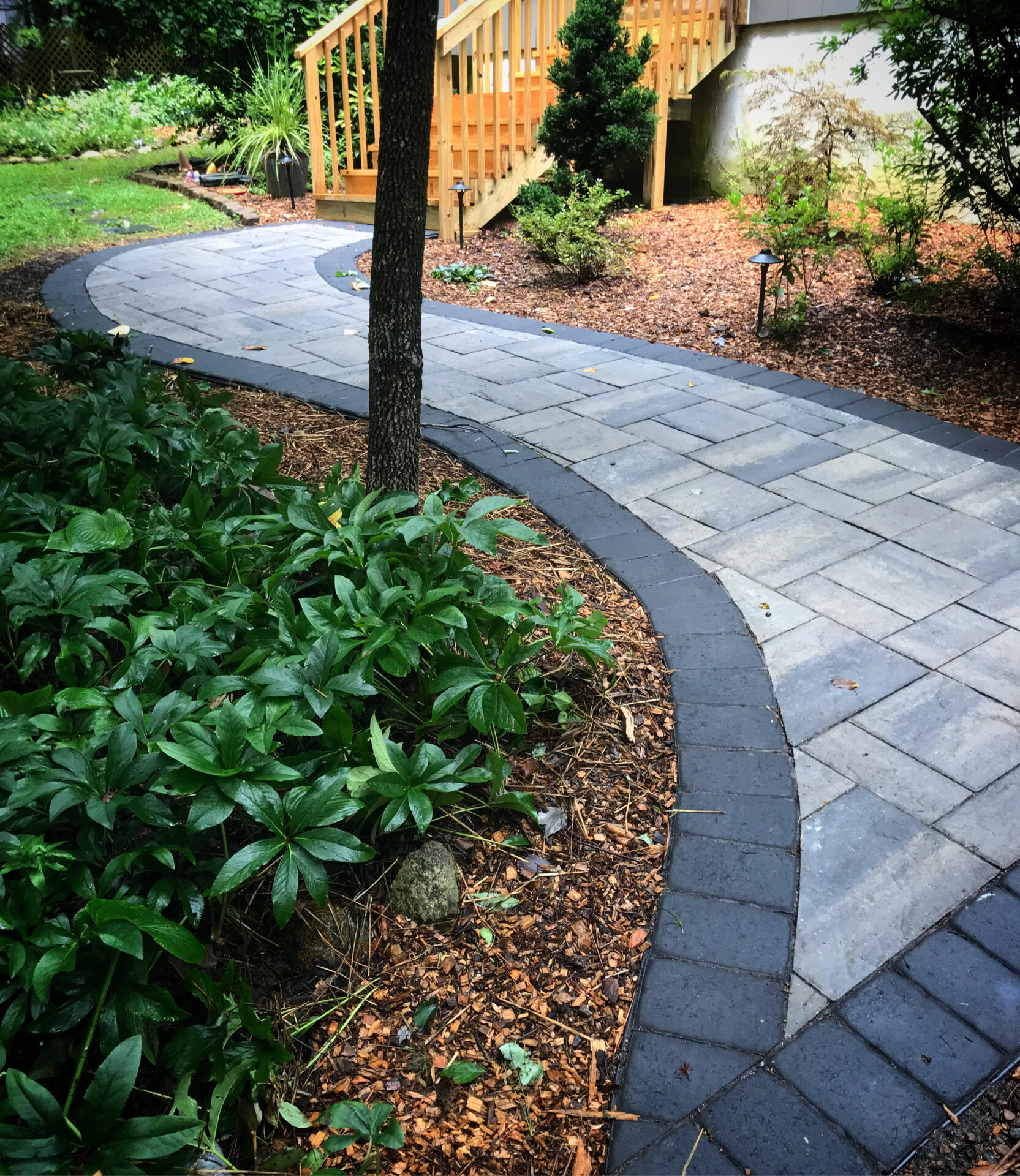 A curved stone pathway in a garden leads to wooden steps, surrounded by lush greenery and mulch, creating a tranquil outdoor setting.