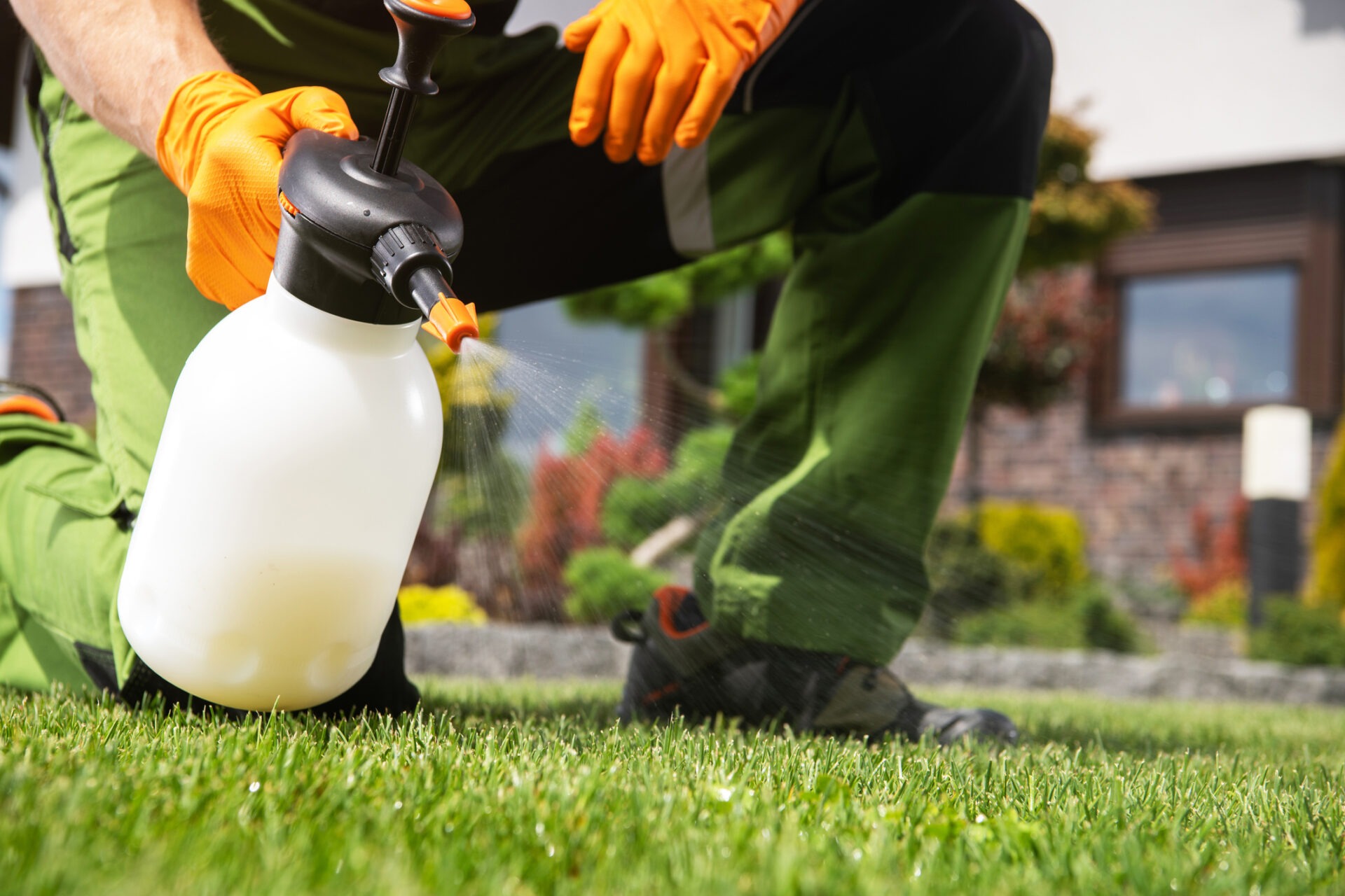 A person in green overalls and orange gloves uses a small sprayer on grass, with blurred plants and building in the background.