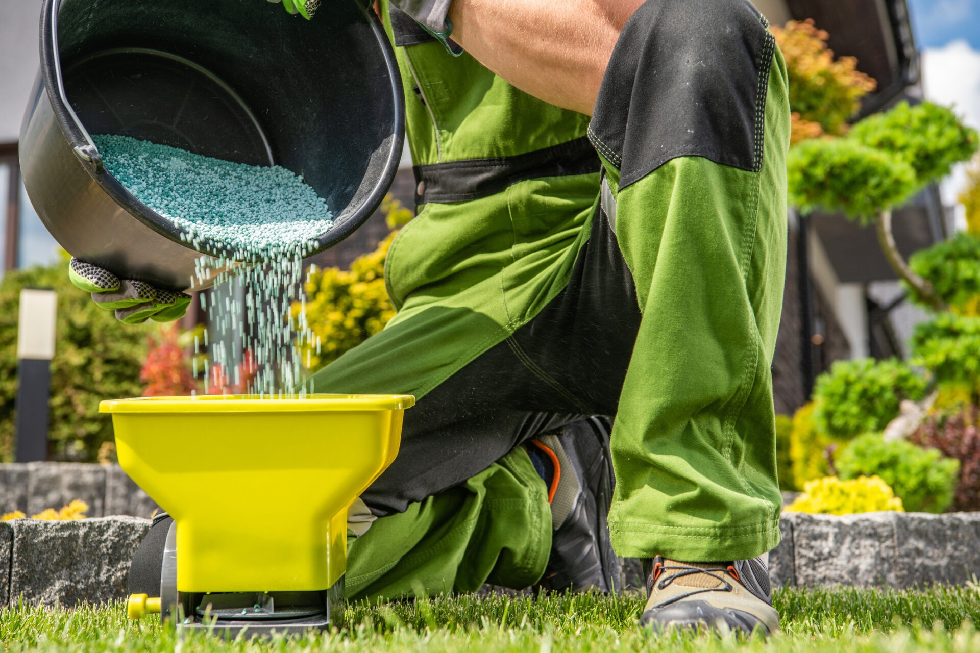 A person in green overalls pours fertilizer granules into a yellow spreader on a well-maintained lawn, surrounded by garden plants.