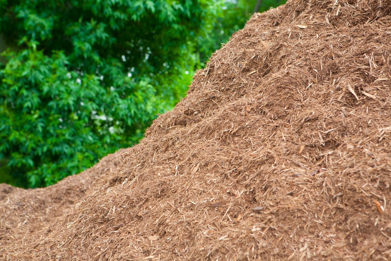 A large pile of mulch is in the foreground, with lush green trees in the background, creating a natural, earthy landscape scene.