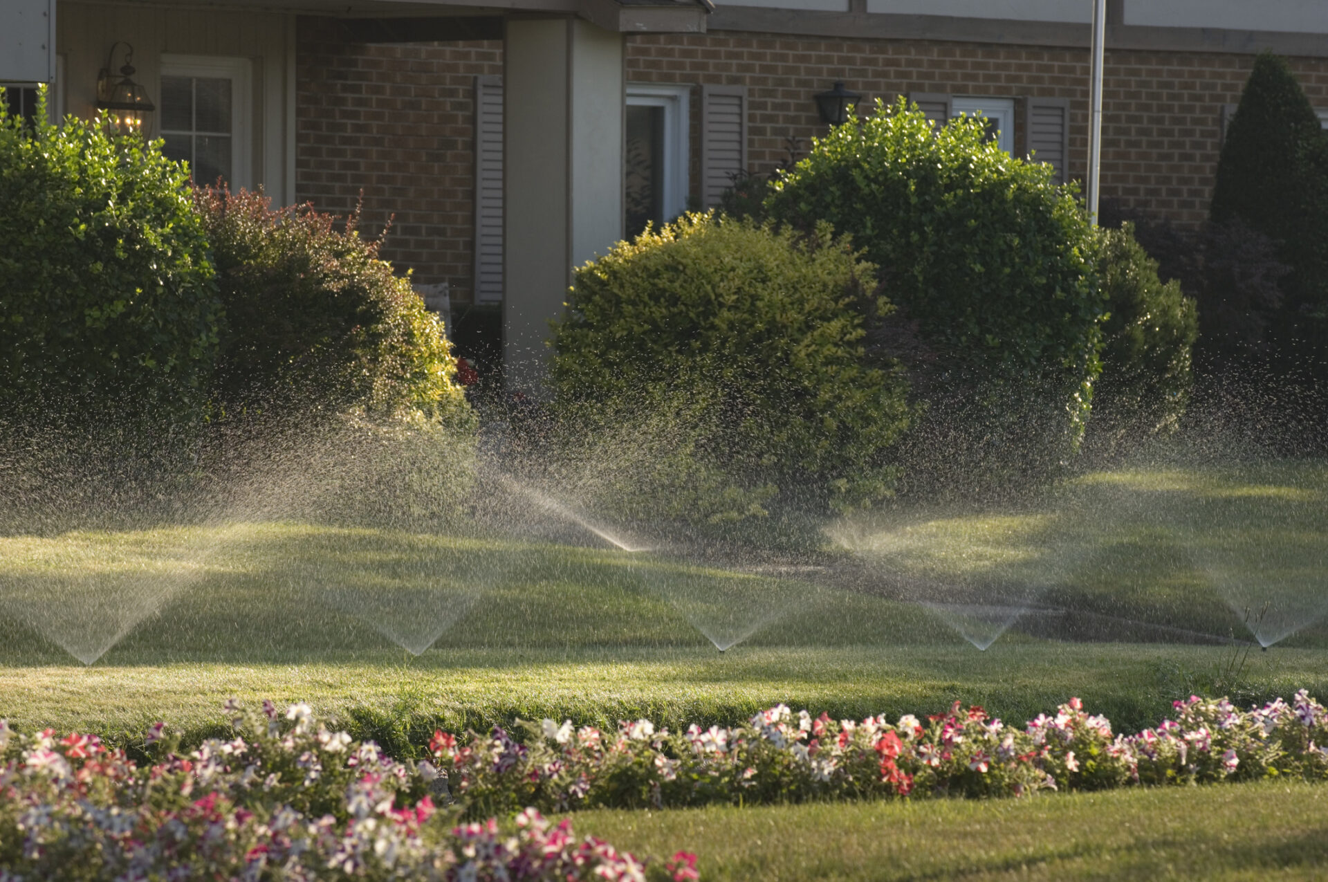 A residential garden features sprinklers watering lush green grass, well-maintained shrubs, and a colorful flower bed in front of a brick house.