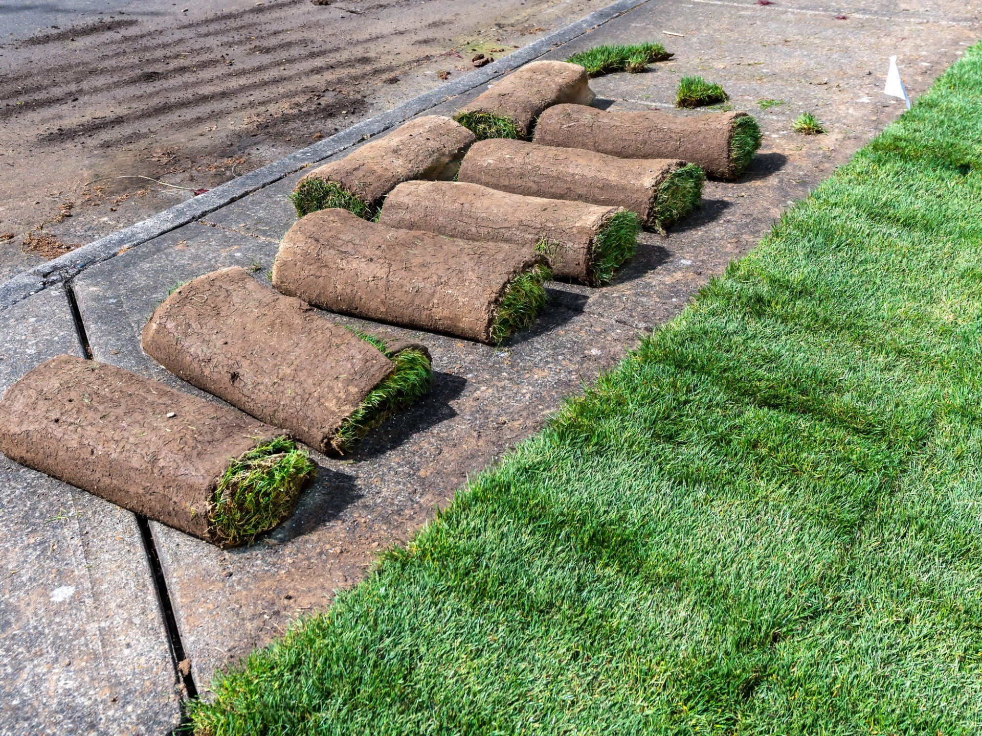 Rolls of sod lying on a paved surface beside freshly laid grass, possibly for a landscaping or garden project in progress.