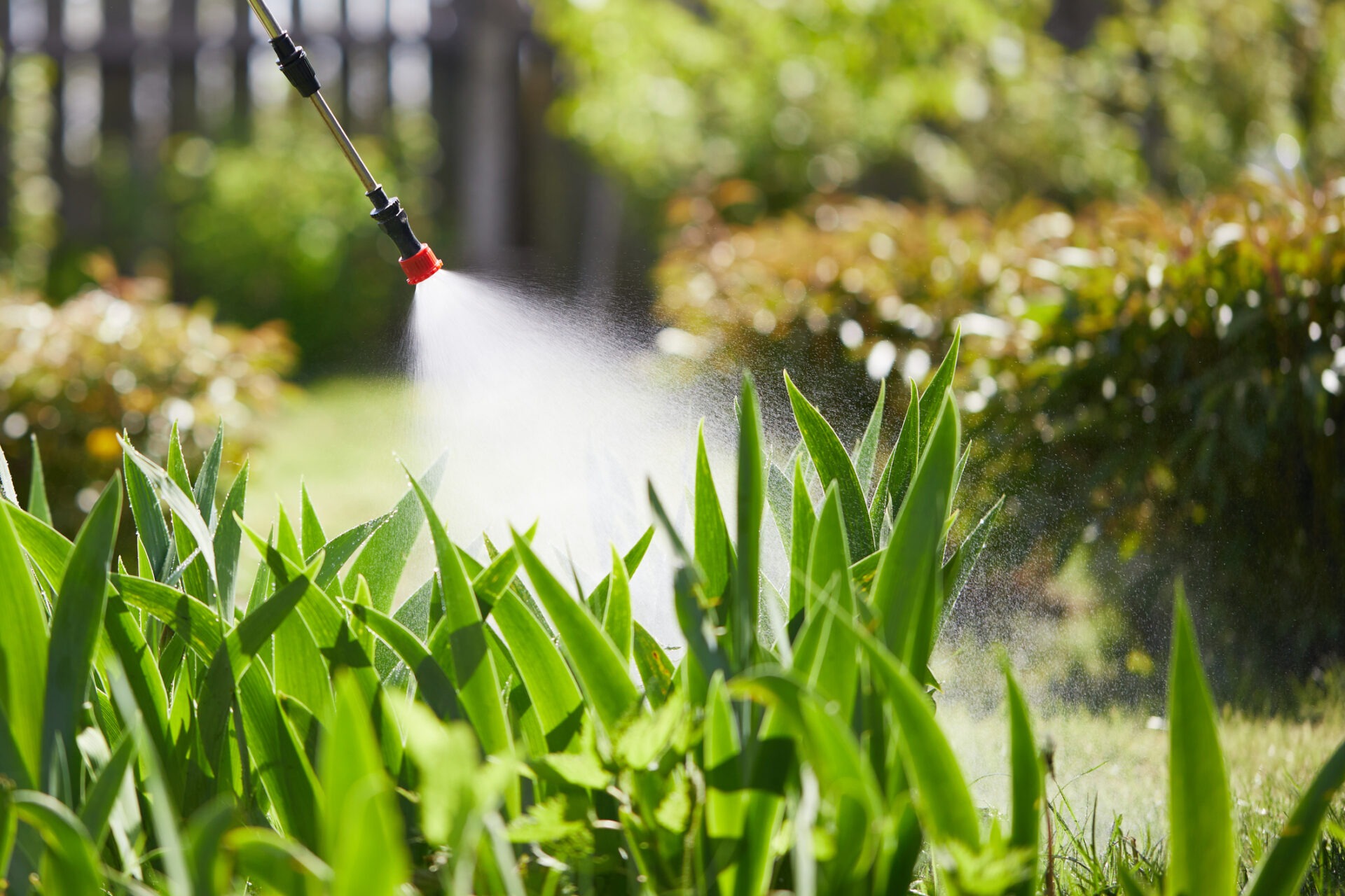 A garden is being sprayed by a nozzle, releasing a mist onto lush green plants, indicating lawn care or pest control.