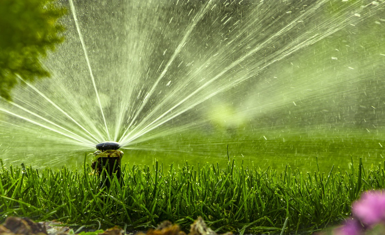 A sprinkler waters lush, green grass in a garden. Sunlight highlights the spray, creating a serene and refreshing scene, with pink flowers nearby.