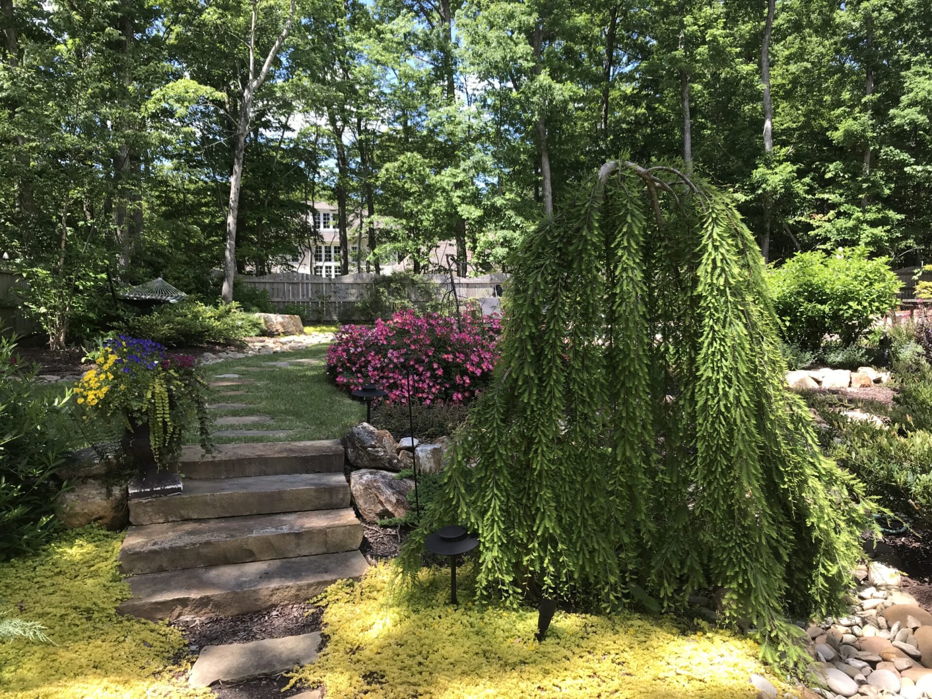 Lush garden scene with stone steps, vibrant flowers, and dense greenery under clear skies. Trees and shrubs create a peaceful, natural ambiance.