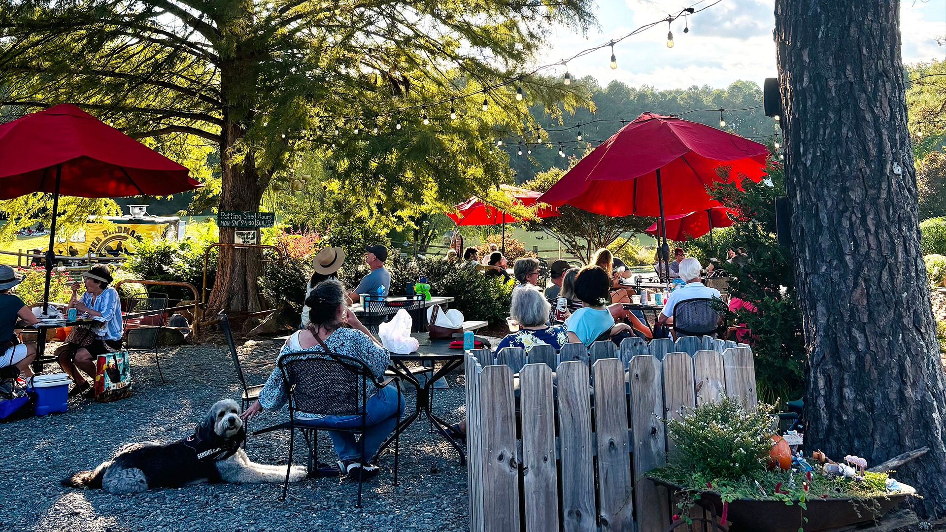 People dining outdoors under red umbrellas surrounded by trees and string lights, with a dog resting nearby on a gravel surface.