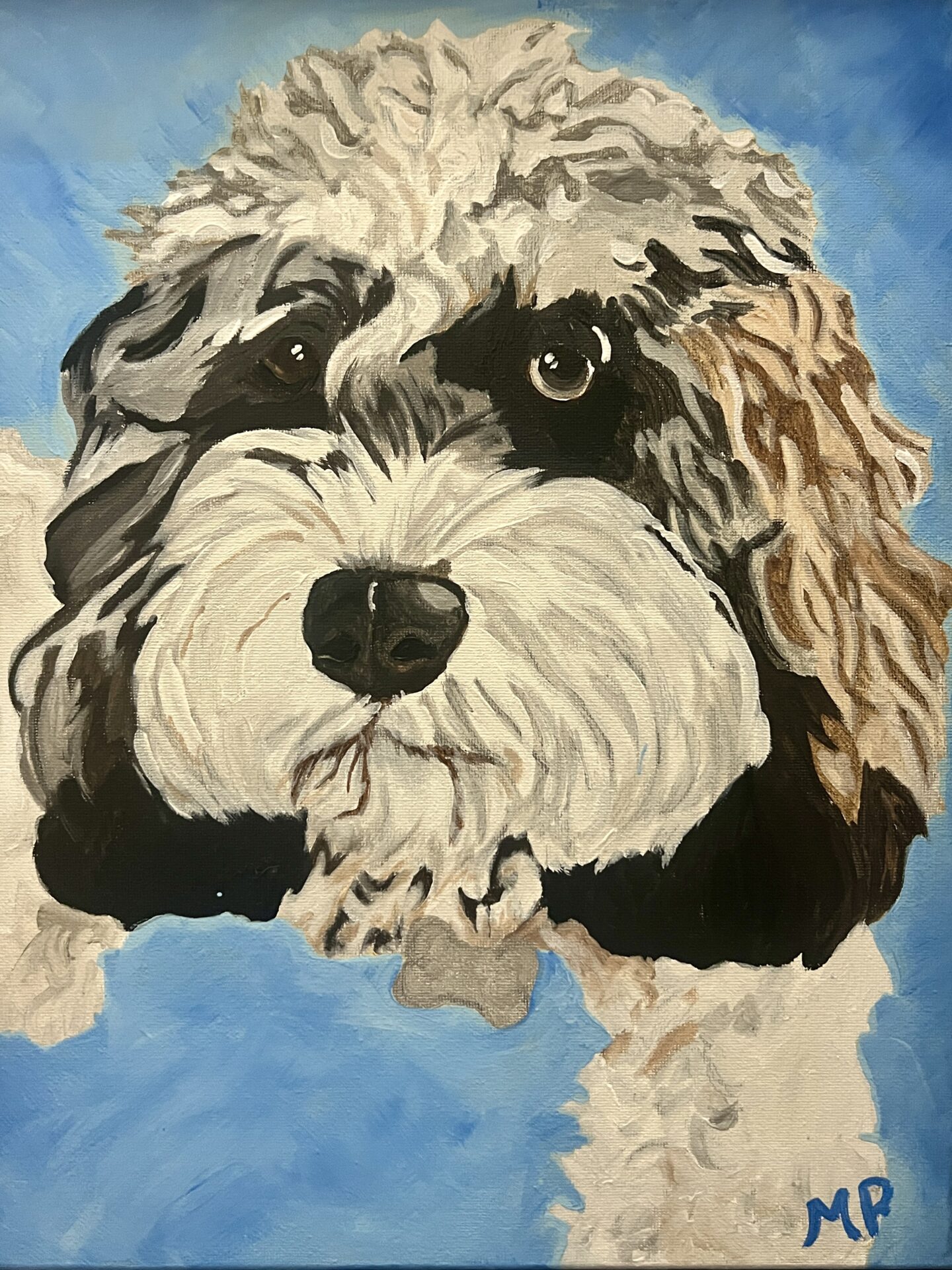 A close-up painting of a fluffy dog against a blue background, showcasing expressive eyes and textured fur. Signature "MP" visible.