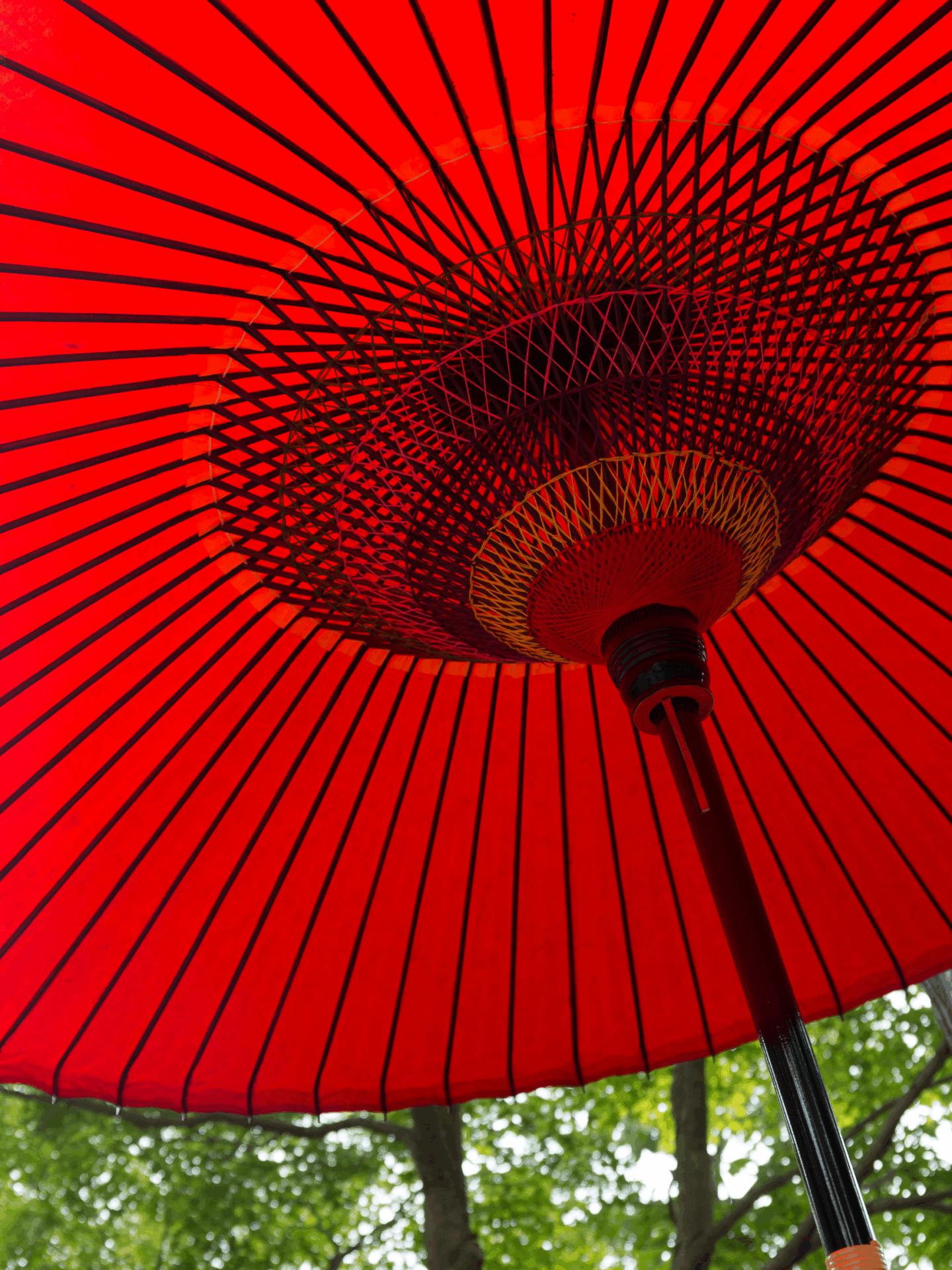 A traditional red paper umbrella with intricate spokes is viewed from below, set against a background of green trees, creating a striking contrast.
